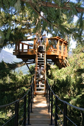 Whistler Treetop Canopy Tours - BC Canada - Whistler Blackcomb Resort Treetop Tour Information